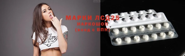 кокс Алзамай