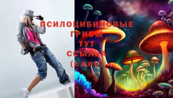 МДМА Алексеевка
